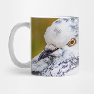 Plotful Pigeon Photograph Mug